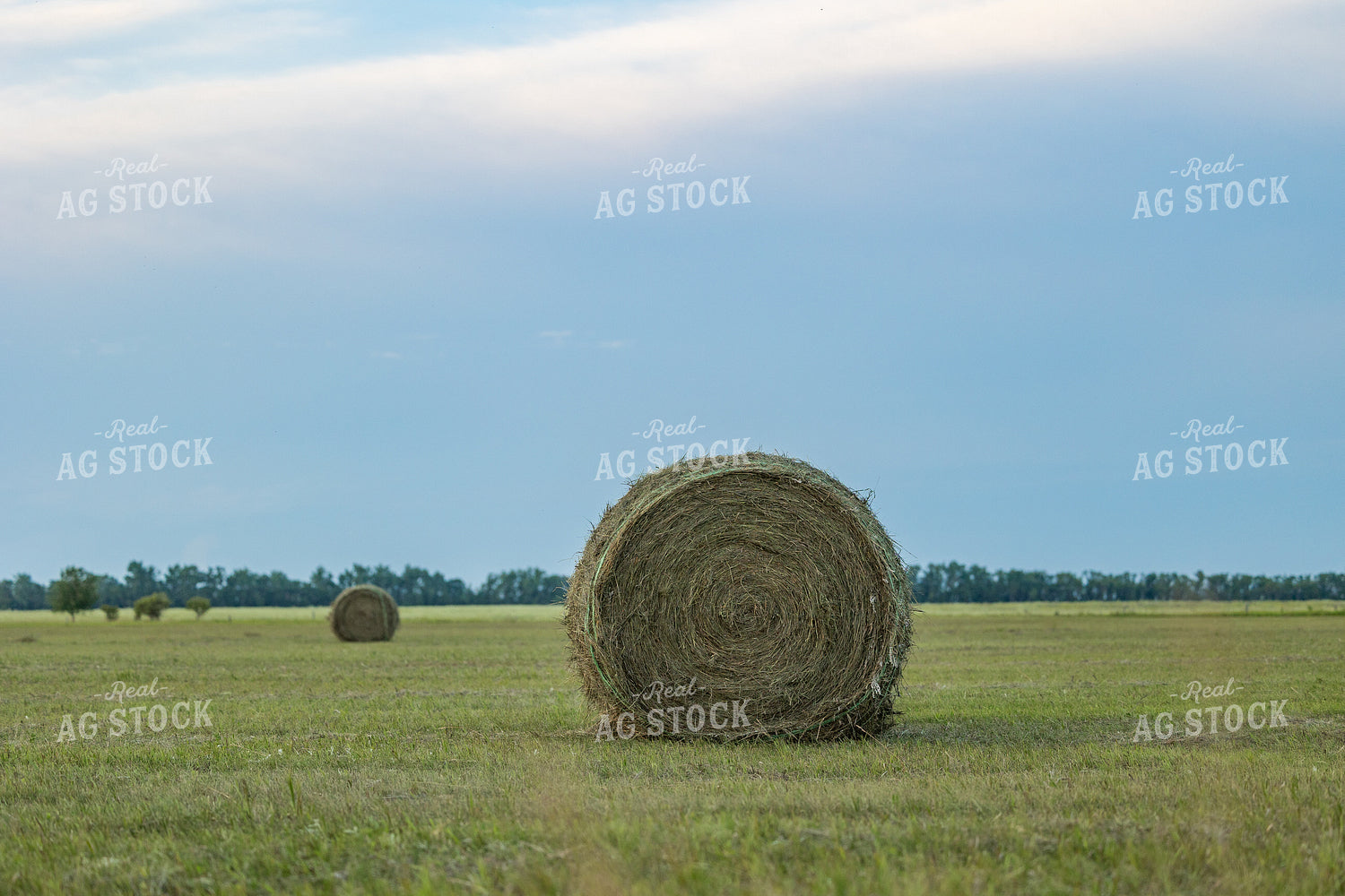 Hay Bales 72140