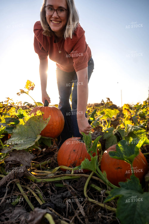 Farmer in Pumpkin Patch 115863