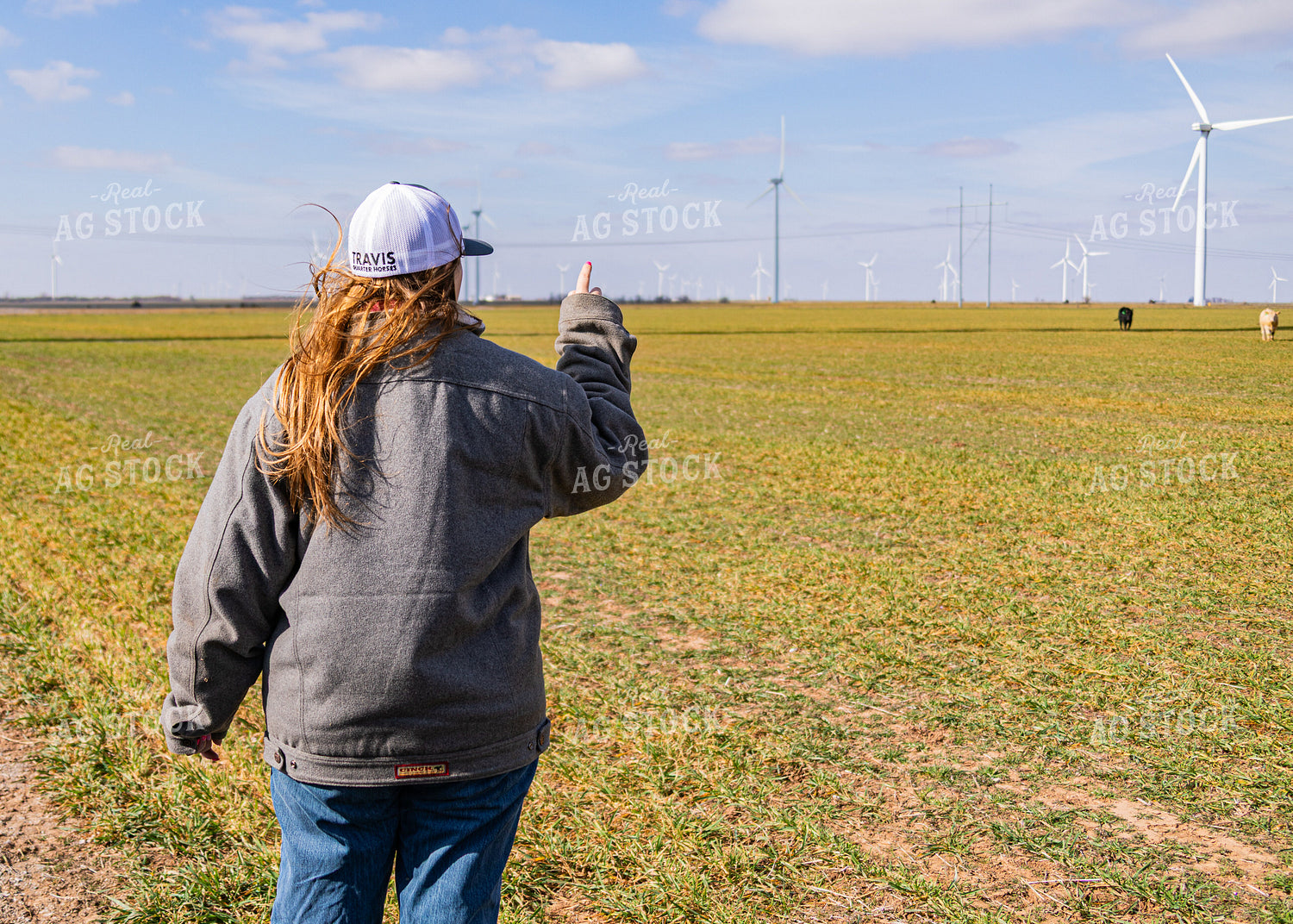 Rancher Pointing in Distance 231099