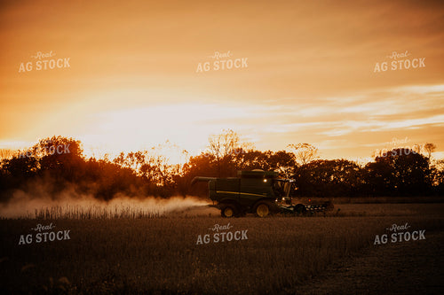 Harvest 2645