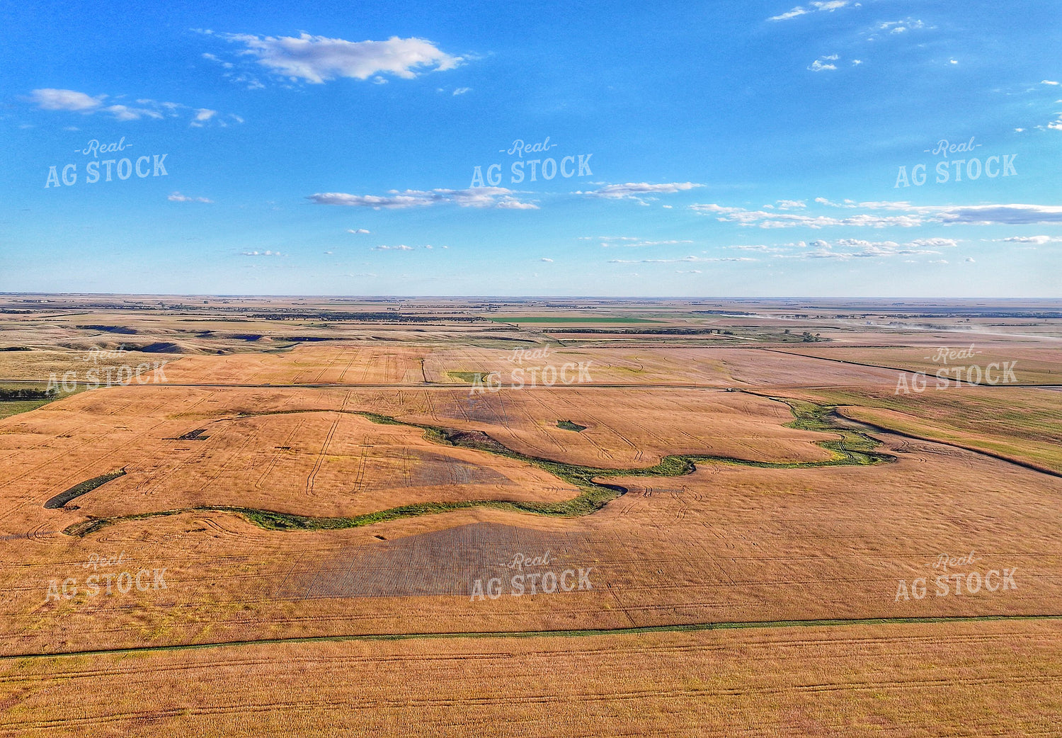 Aerial of Wheat Field 141179