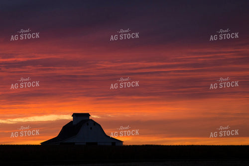 Barn in Sunset 93005