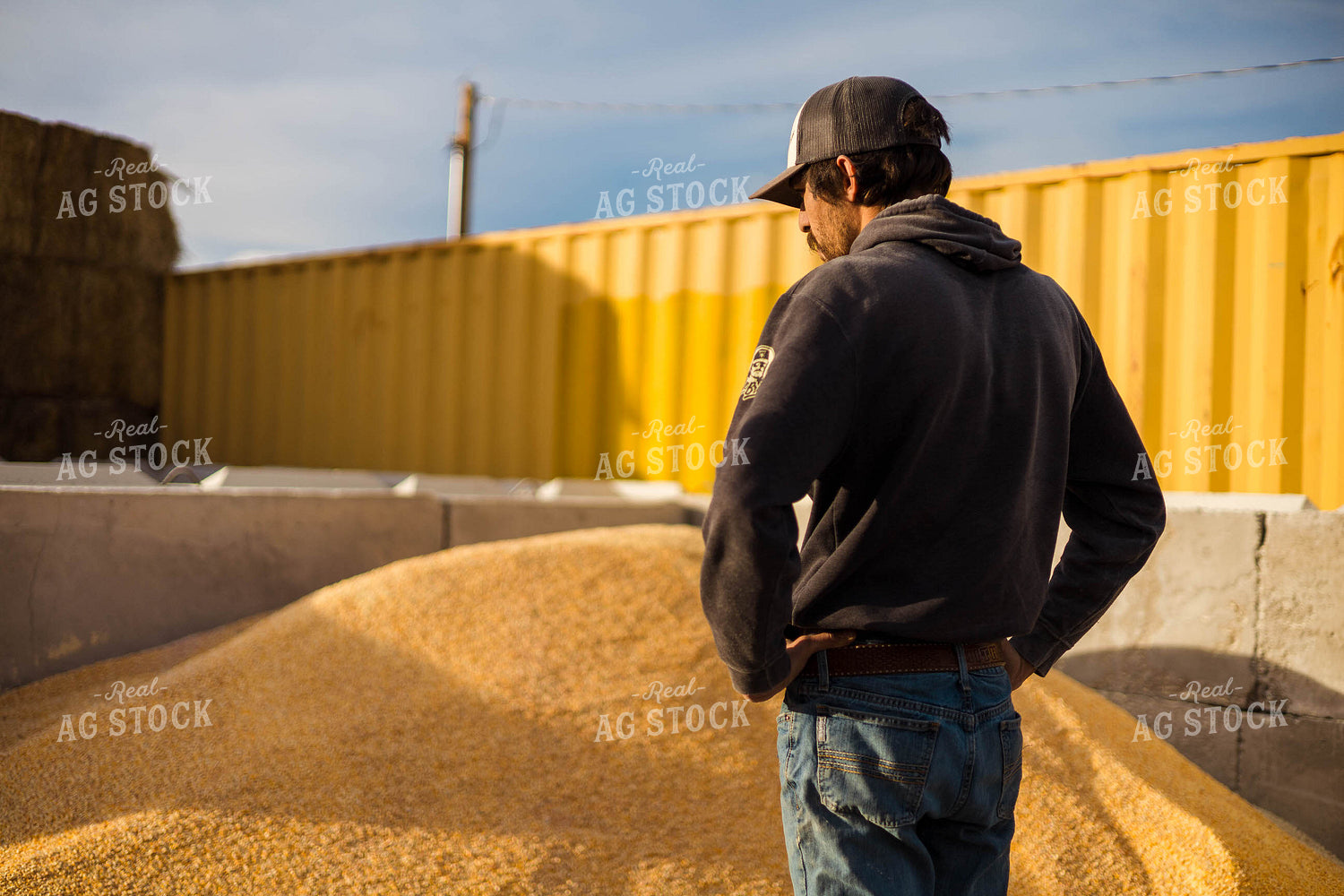 Livestock Feed Ingredients 97251