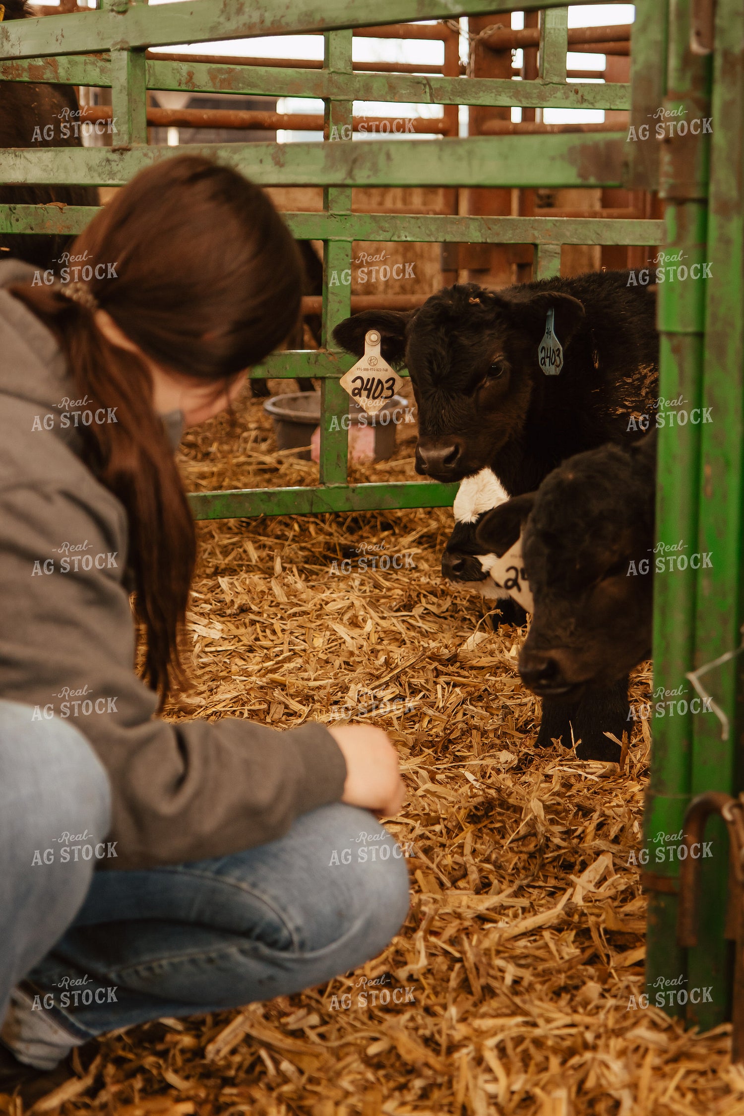 Female Farmer with Calf 67664