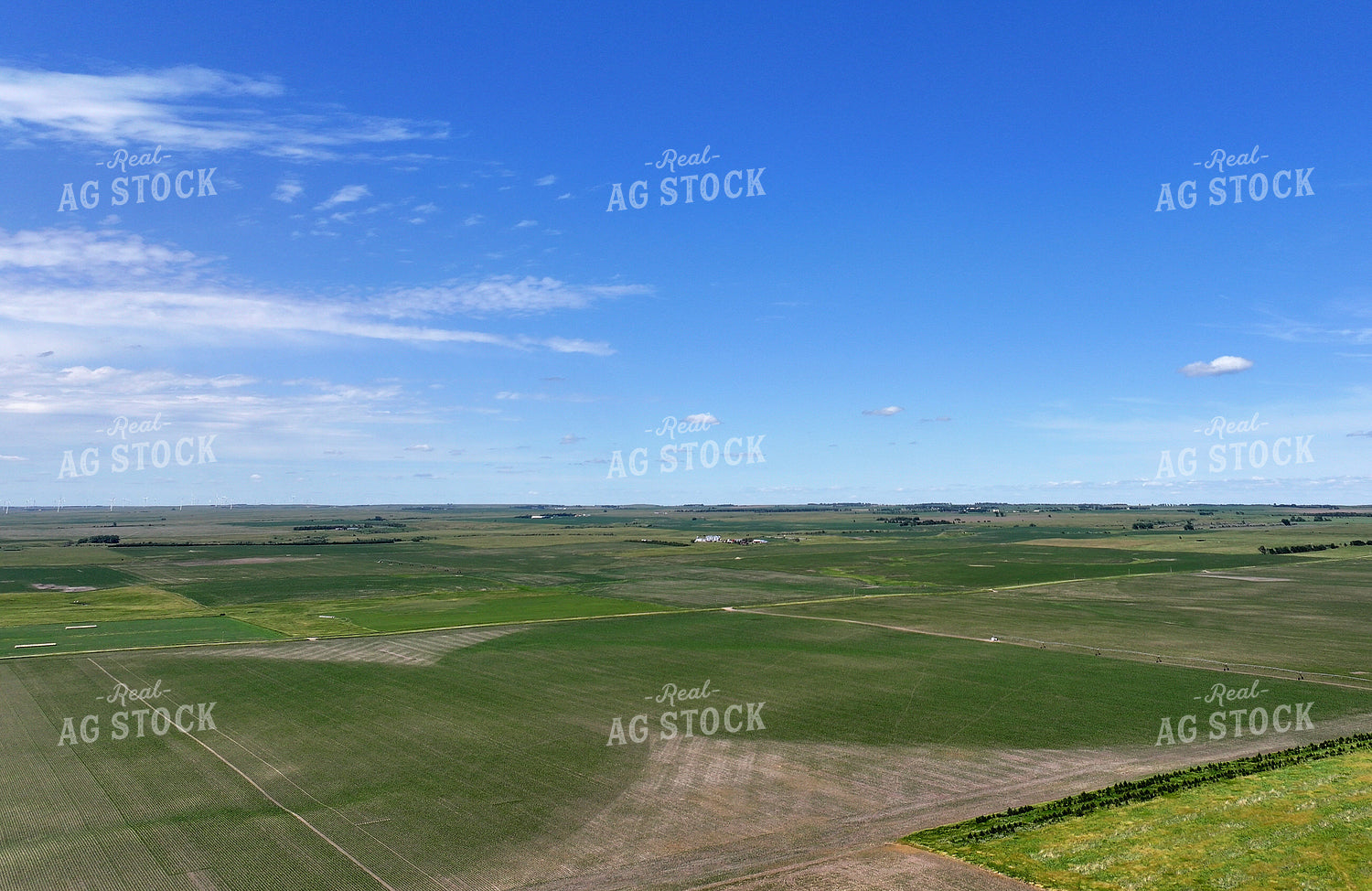 Aerial of Corn Field 141146