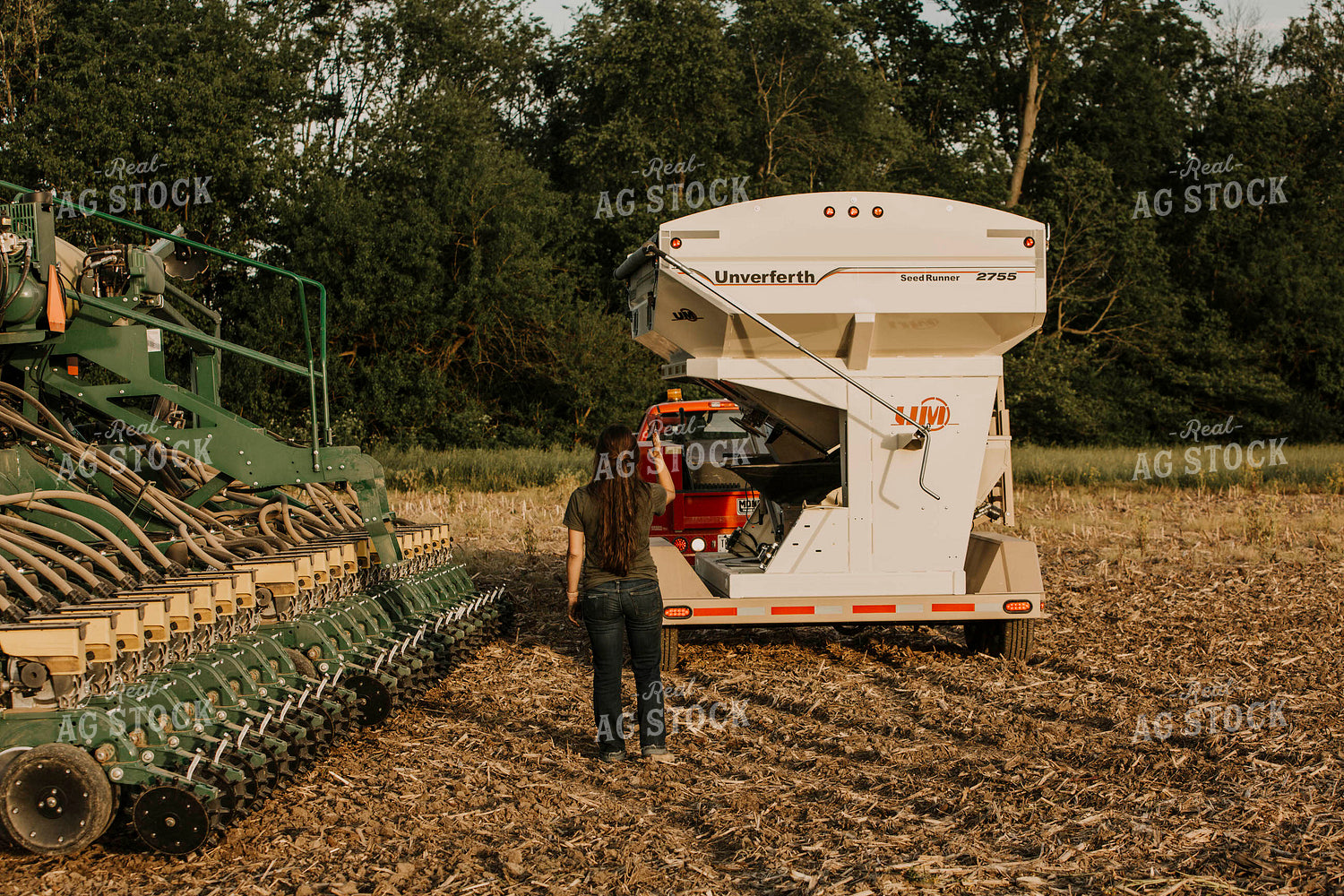 Planting 2799