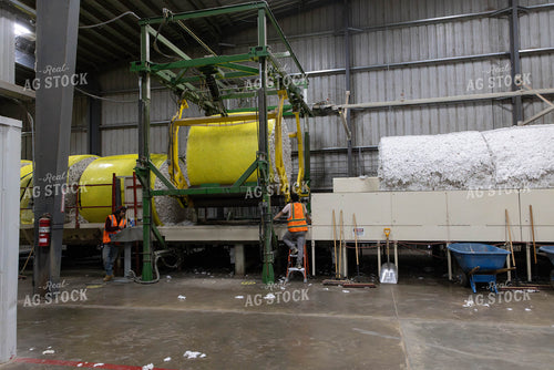 Cotton Processing Plant 79536