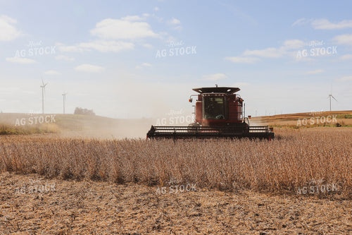 Soybean Harvest 67028