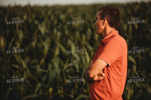 Farmer Looking Out Over Corn Field 4546