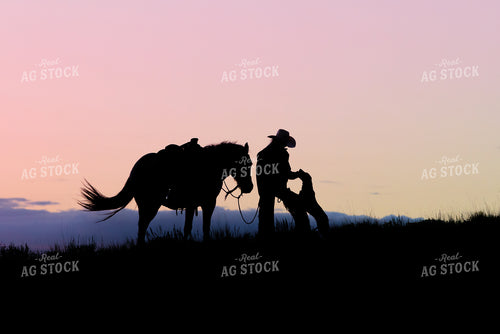 Cowgirl with Horse and Dog 290042