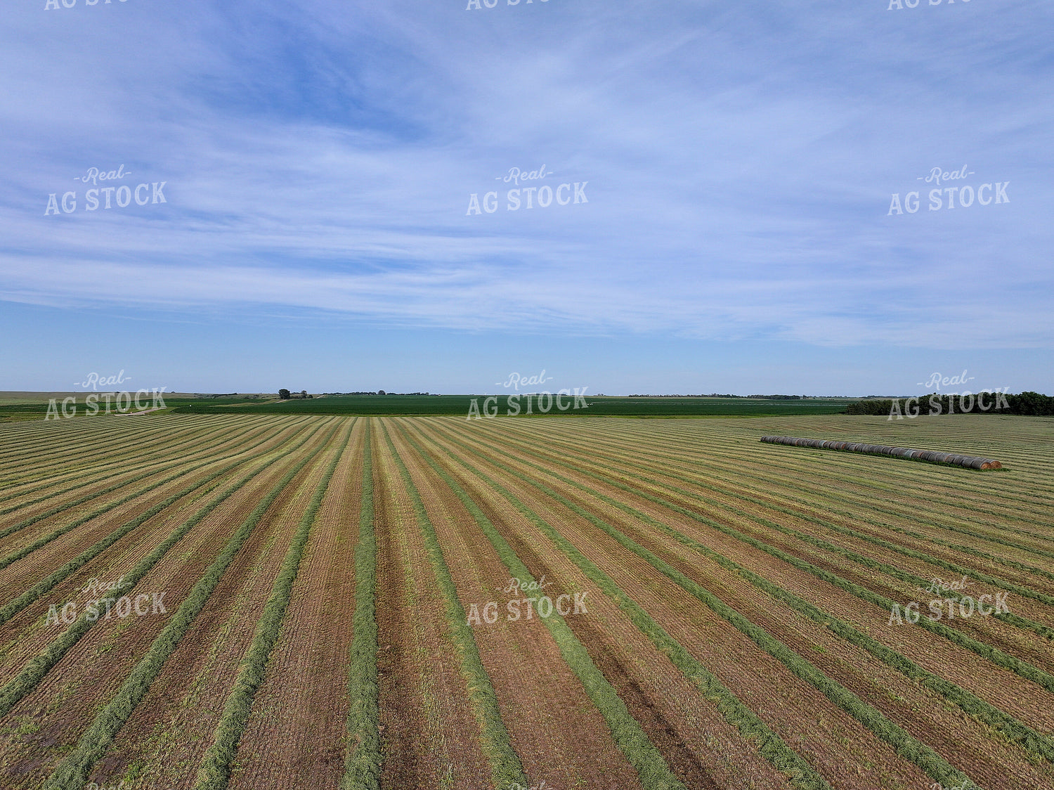 Aerial of Cut Hay Field 141324