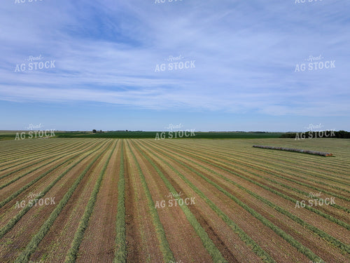 Aerial of Cut Hay Field 141324