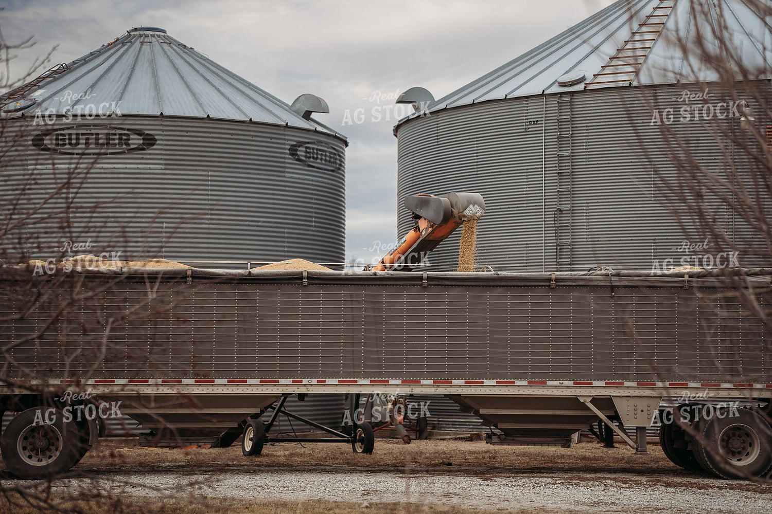 Loading Grain into Semi 196199