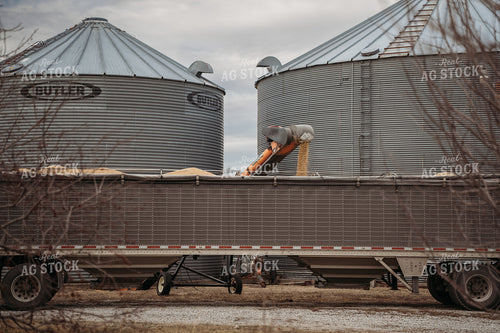 Loading Grain into Semi 196199