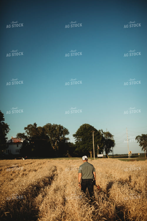 Farmer Agronomist with Shovel in Soybean and Rye Cover Crop Field 5845