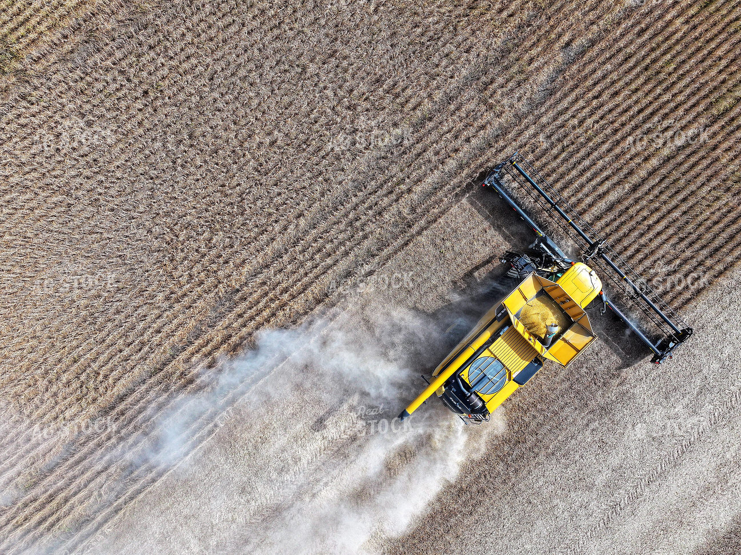 Wheat Harvest 141173