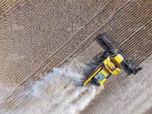 Wheat Harvest 141173