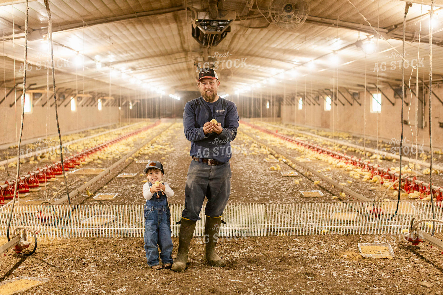Farmer and Son in Chicken Barn 280013