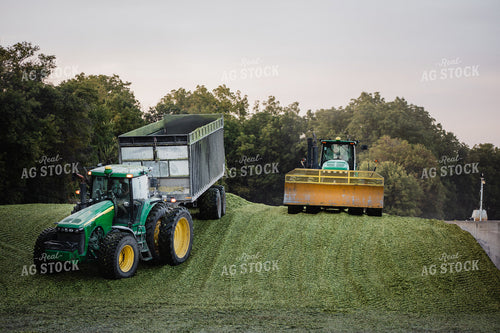 Packing Silage 272001