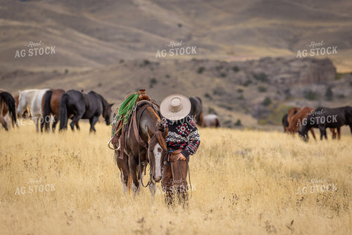 Cowgirl with Horses 290024