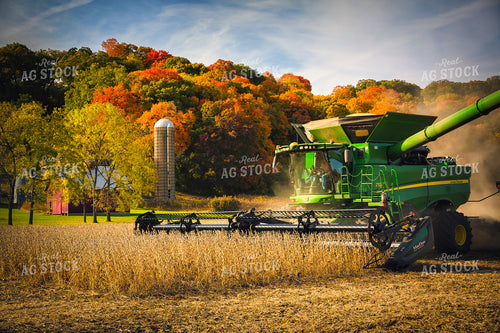 Soybean Harvest 153024