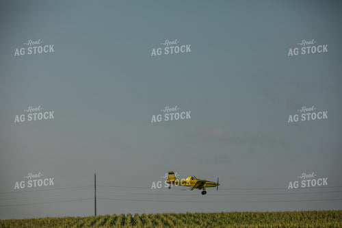 Crop Duster Corn Field 3130