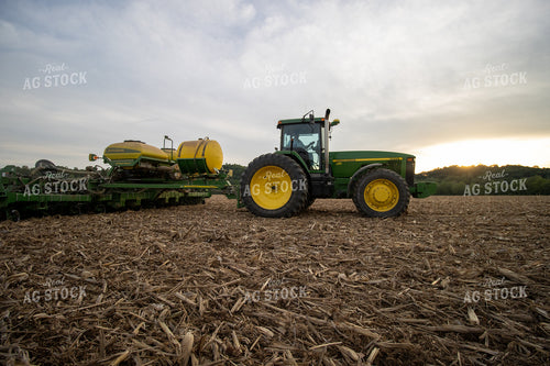 Planting at Sunset 52146