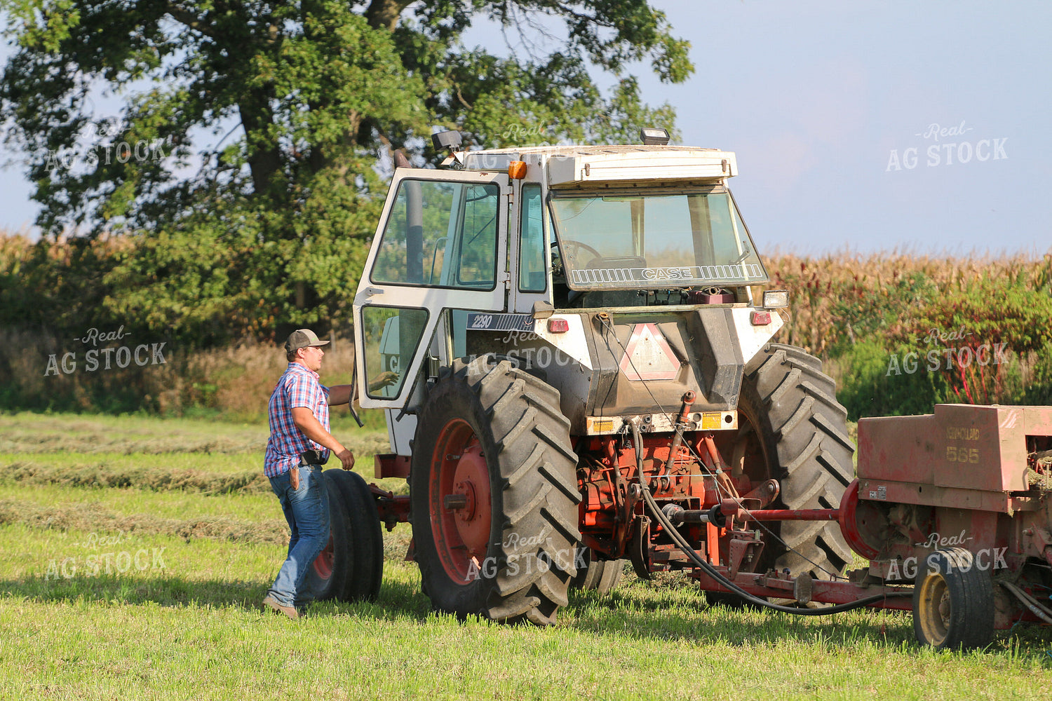 Harvesting Hay 160339