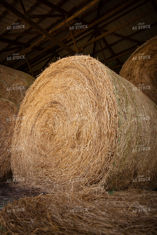 Hay Bales 268160