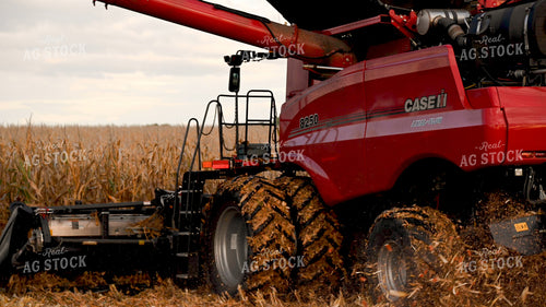 Combine Harvesting Corn 25653