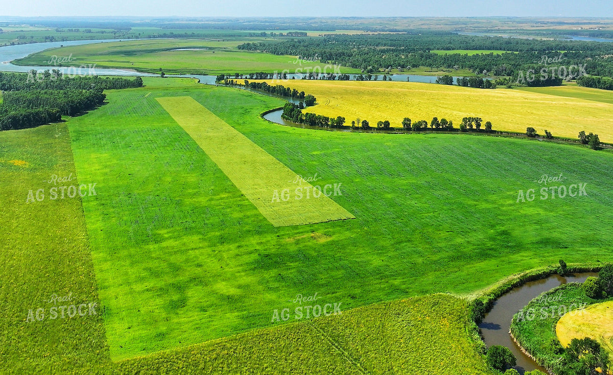 Aerial of Fields Along the River 141662