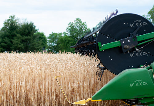 Wheat Harvest 103022
