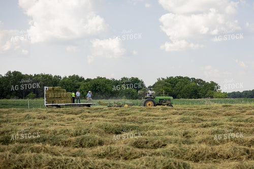 Baling Square Hay Bales 281034