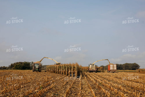 Chopping Corn Silage 152023