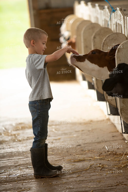 Dairy 2743