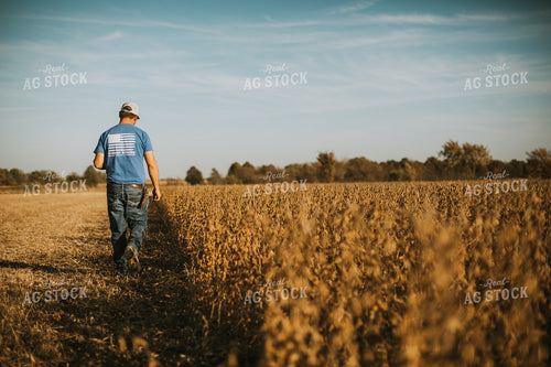 Farmer Walking in Field 7178