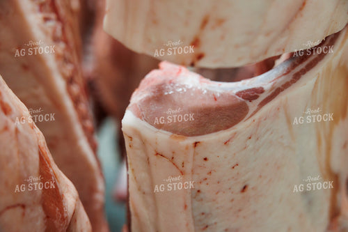 Pork Carcass 52854