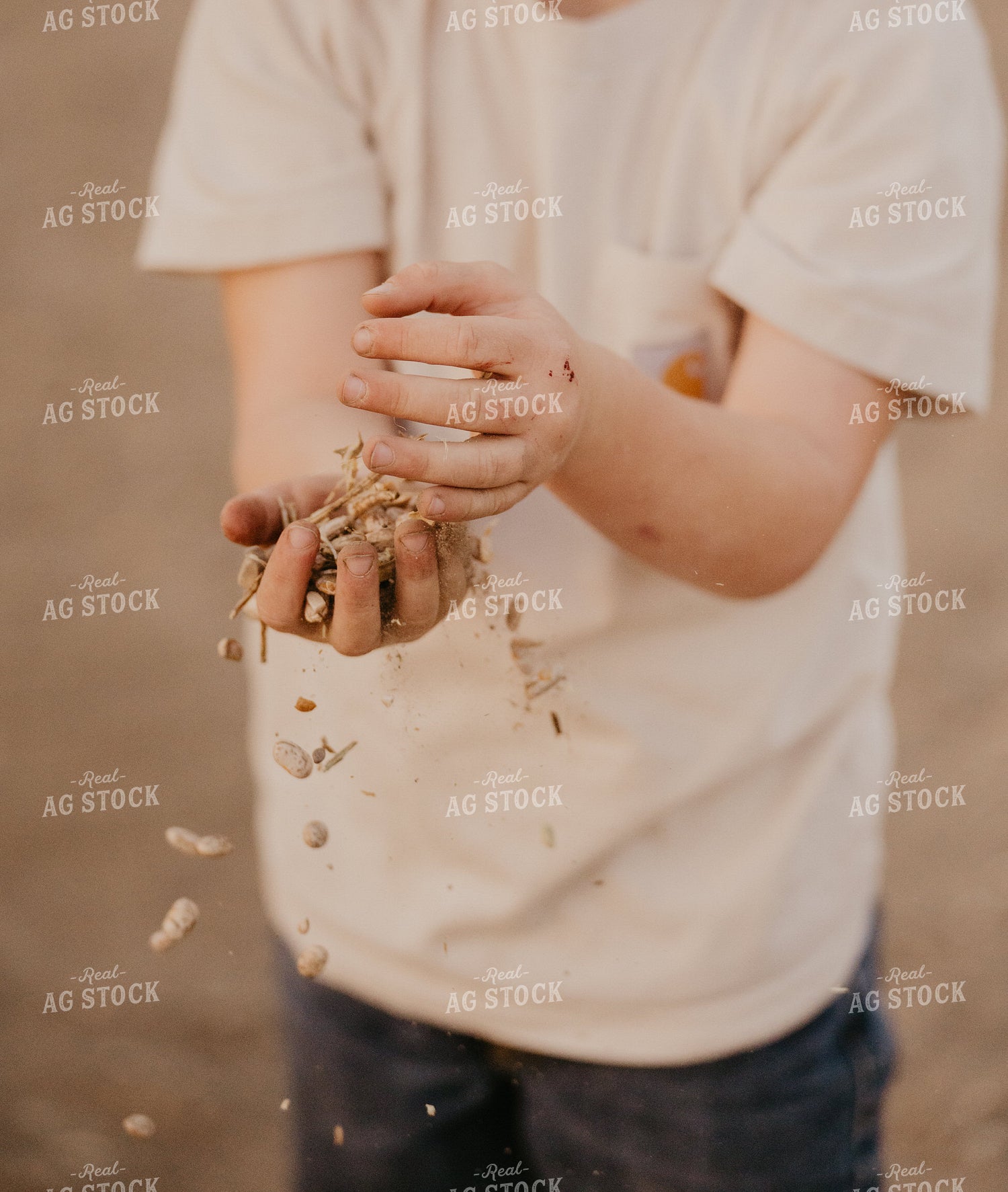 Farm Kid Holding Pinto Beans 185135