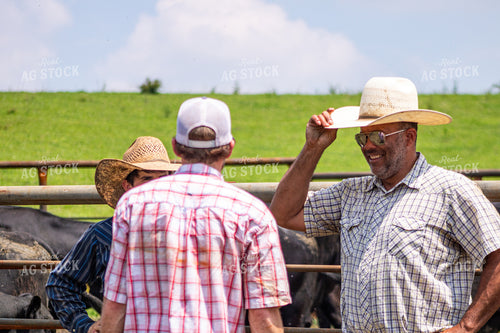 Ranchers Working Cattle 214213