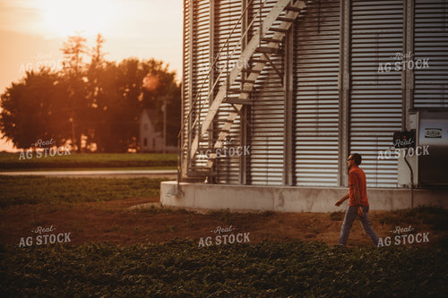 Farmer Walking Along Grain Bin and Soybean Field 4577