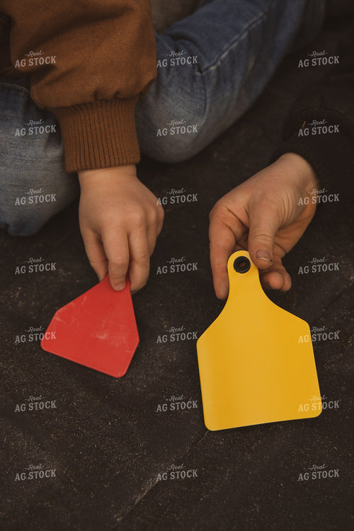 Farm Kid and Farmer Holding Ear Tags 67864