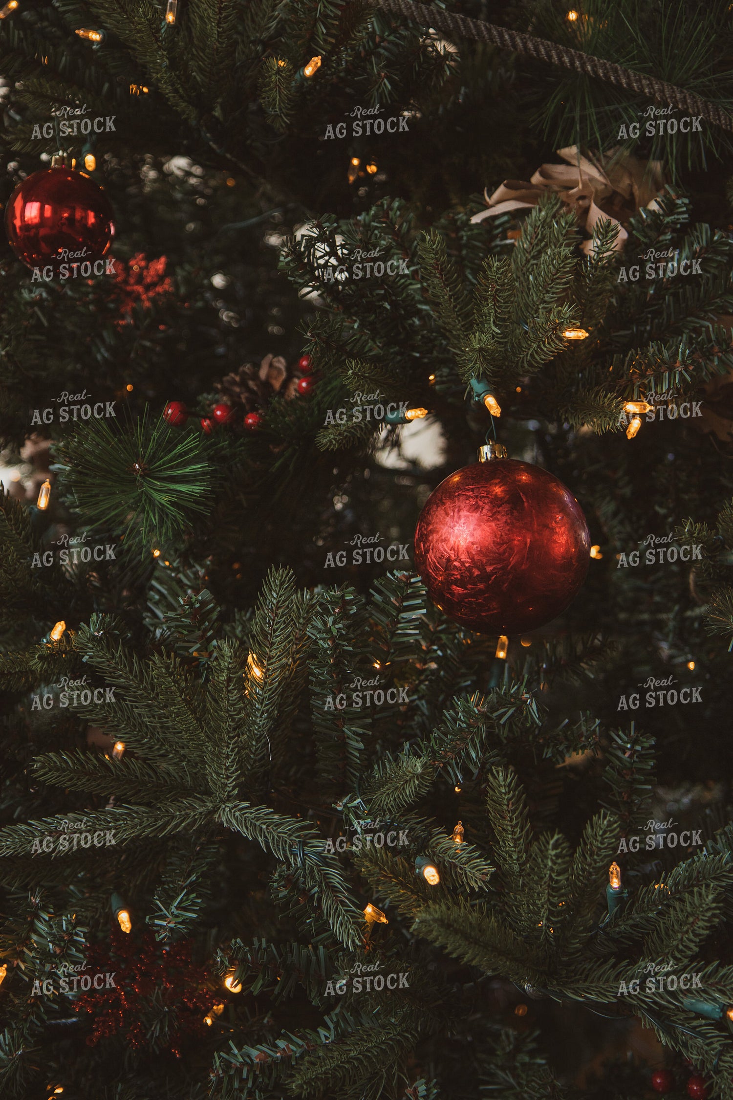 Ornaments on Tree 67878