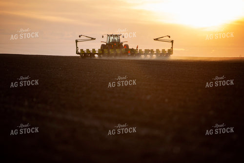 Planting 1931