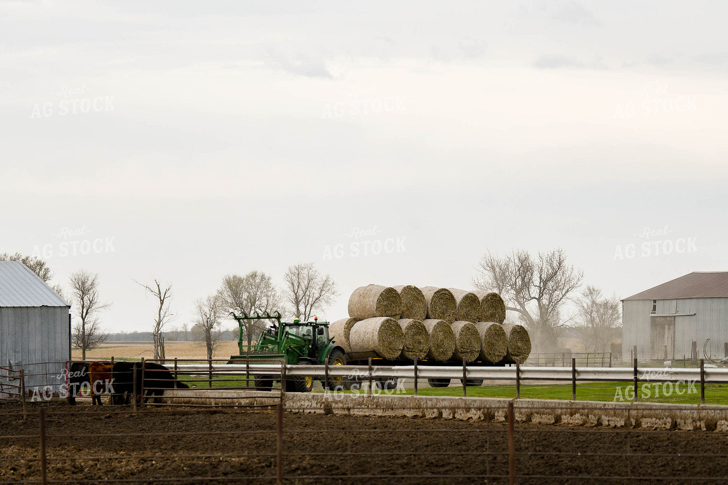Hauling Hay 185107