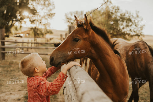 Farm Kid with Horse 61248
