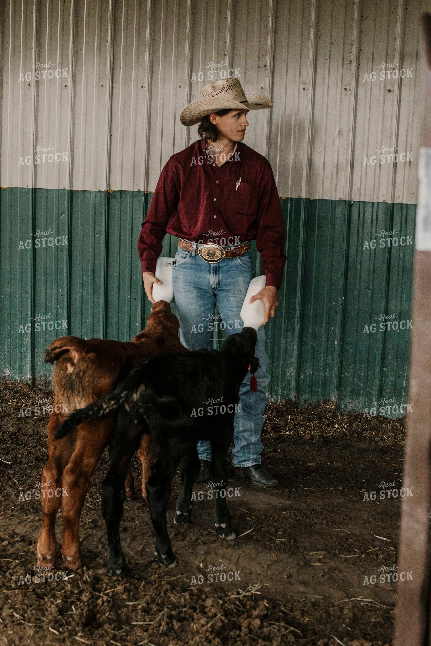 Feedyard 3004