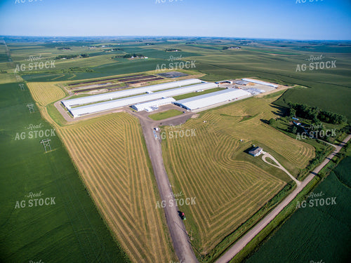 Aerial of Cattle Barns 250109
