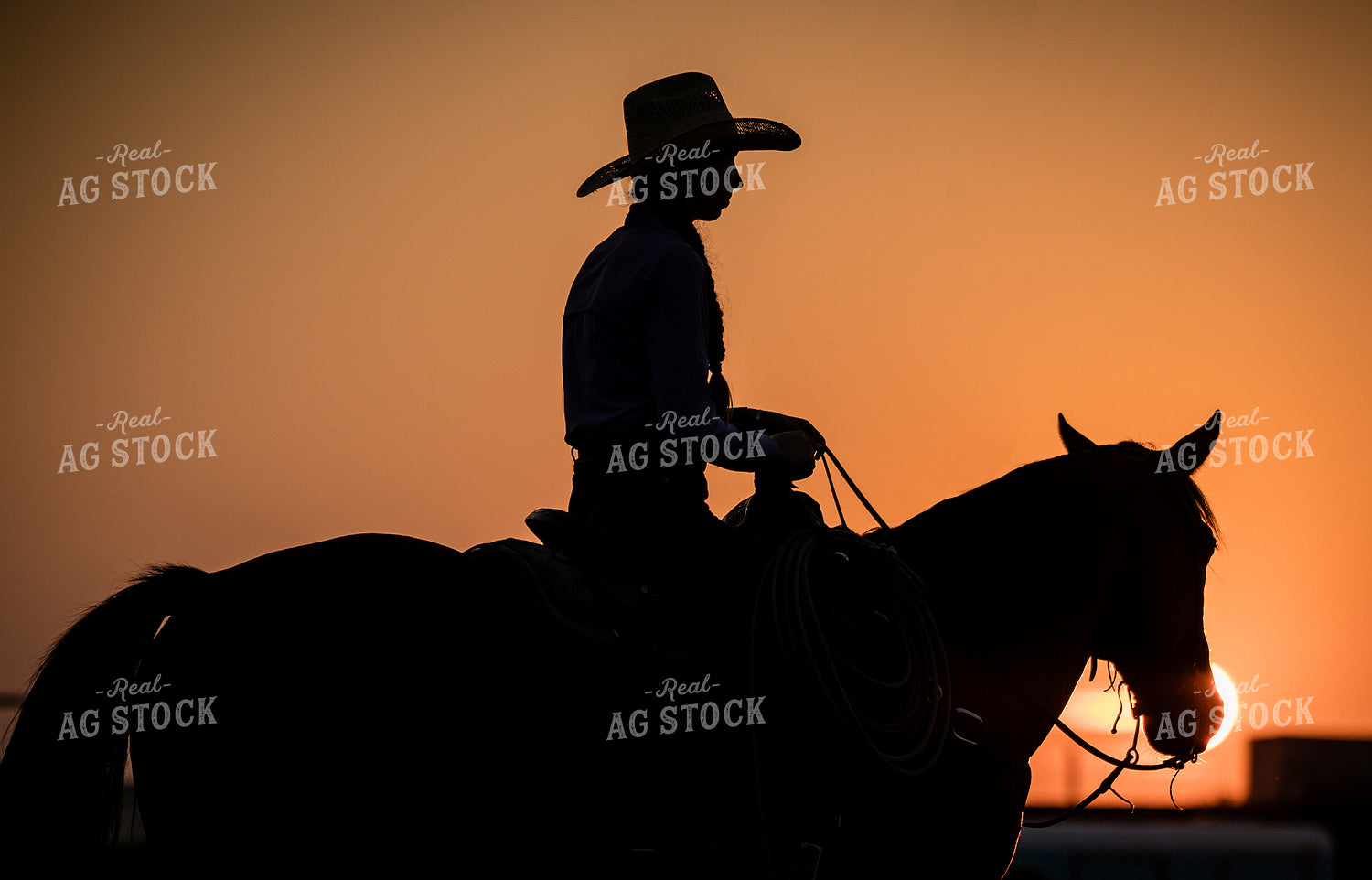 Rancher on Horseback 219113
