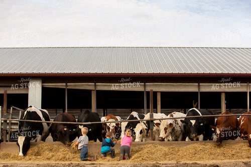 Dairy 2734