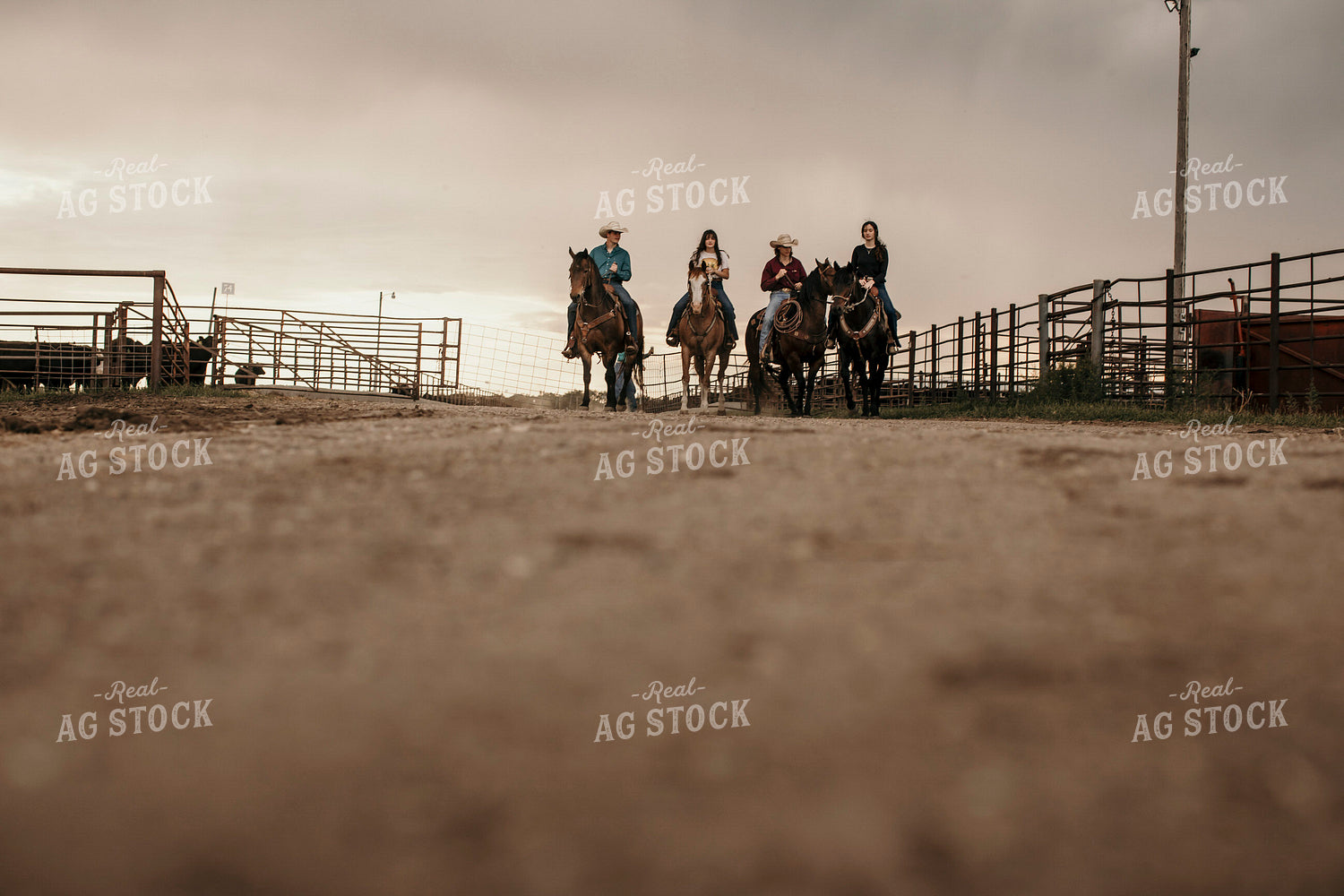 Feedyard 3095